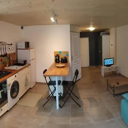 Avec Terrasse Apartment *