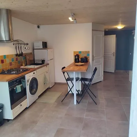 Avec Terrasse Apartment *