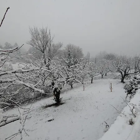 Avec Terrasse Apartamento *